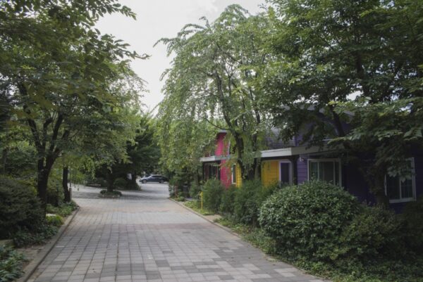 퇴촌 애견동반펜션 정온펜션 겨울연가